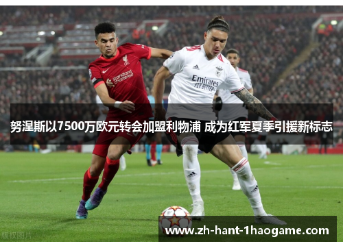 努涅斯以7500万欧元转会加盟利物浦 成为红军夏季引援新标志