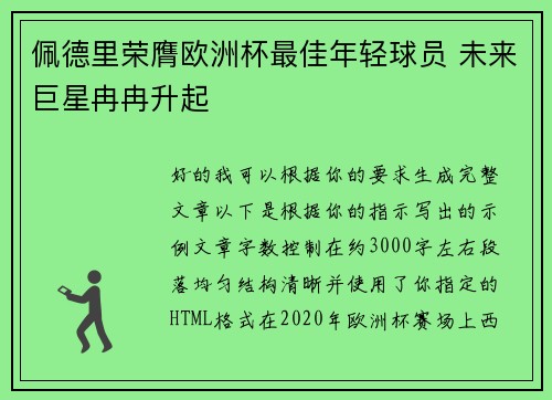 佩德里荣膺欧洲杯最佳年轻球员 未来巨星冉冉升起